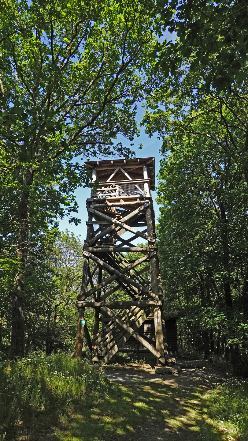 Alfred Dahm Turm Dernau